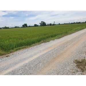 ขายที่ดิน 2แปลงแปลงละ12ไร่ 84ตรว.ใกล้ที่ว่าการอำเภอดอนเจดีย์ติดถนนเดินทางเข้าออกสะดวก