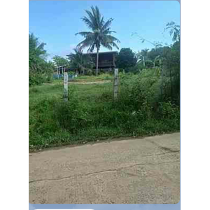 ขายที่ดิน51 ตารางวาติดถนนข้างโรงเรียนบ้านสวายจิกใกล้ อบต. สวายจิก อ.เมืองบุรีรัมย์