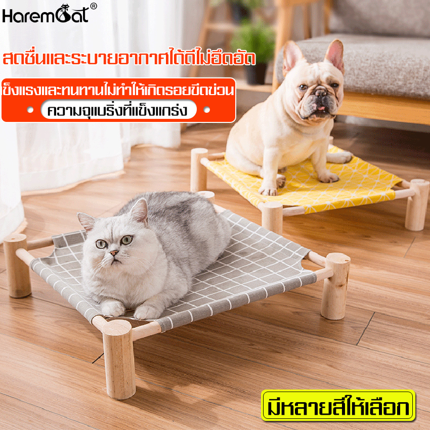 เตียงนอนสัตว์เลี้ยง