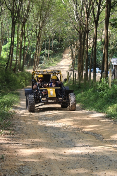 Phuket UTV 1 hour(650c.c.) + Zipline Phuket 15 Platforms & Big Buddha Tour Phuket X-4
