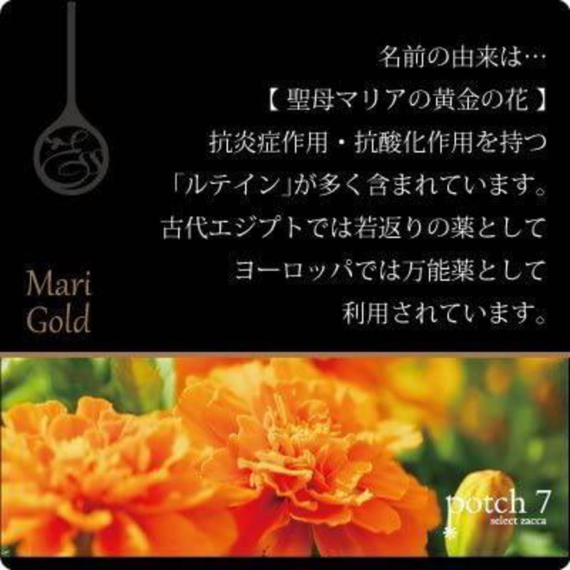 [New Version] ขวด Original POLA - Aroma Ess Gold Organic Chamomile ขนาด 470ml. แชมพู ครีมนวดผม ครีมอาบน้ำ