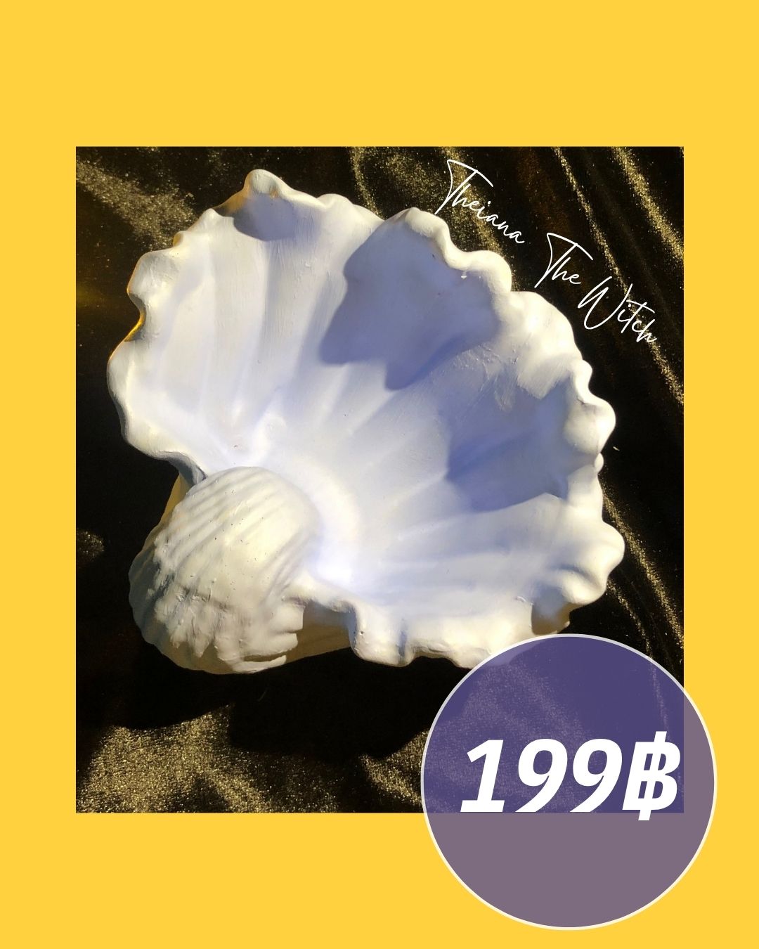 ภาชนะลายเปลือกหอย 🐚✨เนื้องานอคริลิค AC100