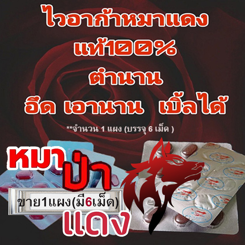 สำหรับท่านชาย ยาหมาป่าแดงRED WOLF 800💸มีเก็บปลายทาง💵💲ขาย1แผง(6เม็ด)กินข้าวต้องมีกับ กินตับต้องมีเธอ😛❌ไม่มีกล่อง-ไม่ระบุชื่อสินค้า🦊ทัก:สนใจสั่งซื้อ👉ไลน์ไอดี kma187