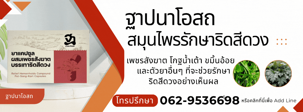 สมุนไพรไทยรักษาริดสีดวงทวาร