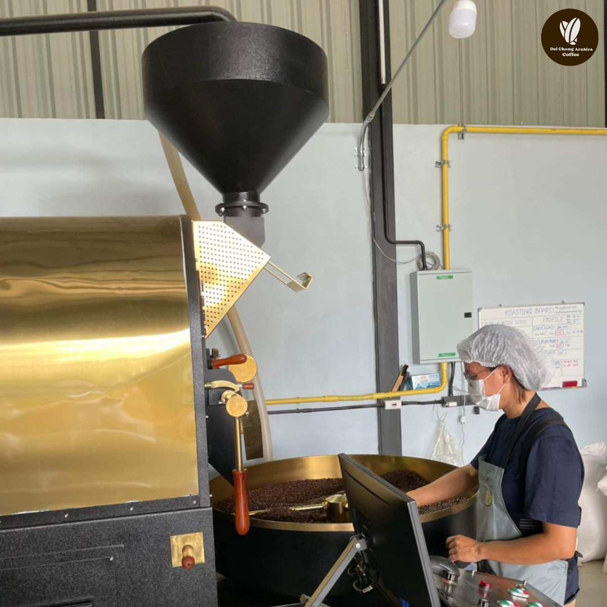 เมล็ดกาแฟอาราบิก้าดอยช้าง คั่วกลางค่อนเข้ม ขนาด 1 กิโลกรัม (Doi Chang Arabica Medium to Dark Roast 1 kg.)