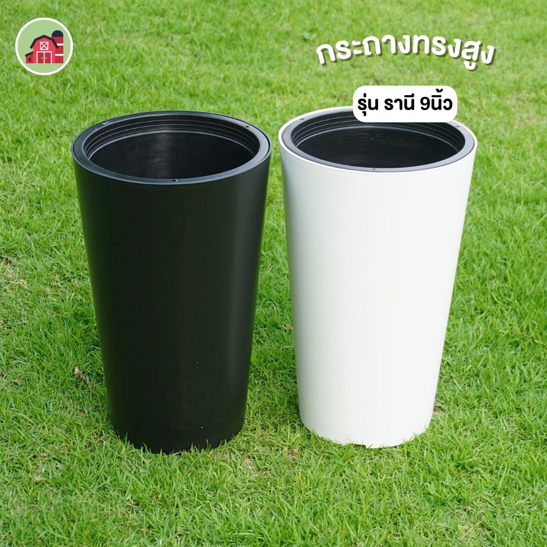 กระถางทรงสูง ขนาด 9 นิ้ว รุ่นรานี