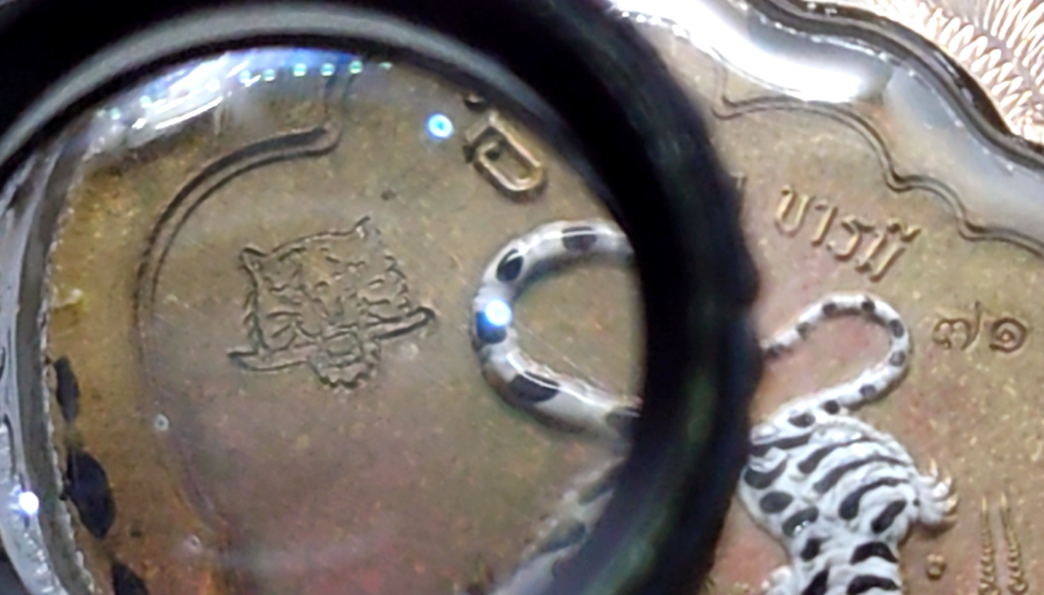 เหรียญเสมาเสือคาบดาบ (รุ่น 1) แจกยกลัง ตอกพิเศษ ตอกหัวเสือ เนื้อชนวนหน้ากากทองทิพย์ ขอบอัลปาก้าลงยาเสือดำ หน้า-หลัง เลขโค๊ท 71 หลวงพ่อพัฒน์ วัดห้วยด้วน จ.นครสวรรค์ พ.ศ.2563