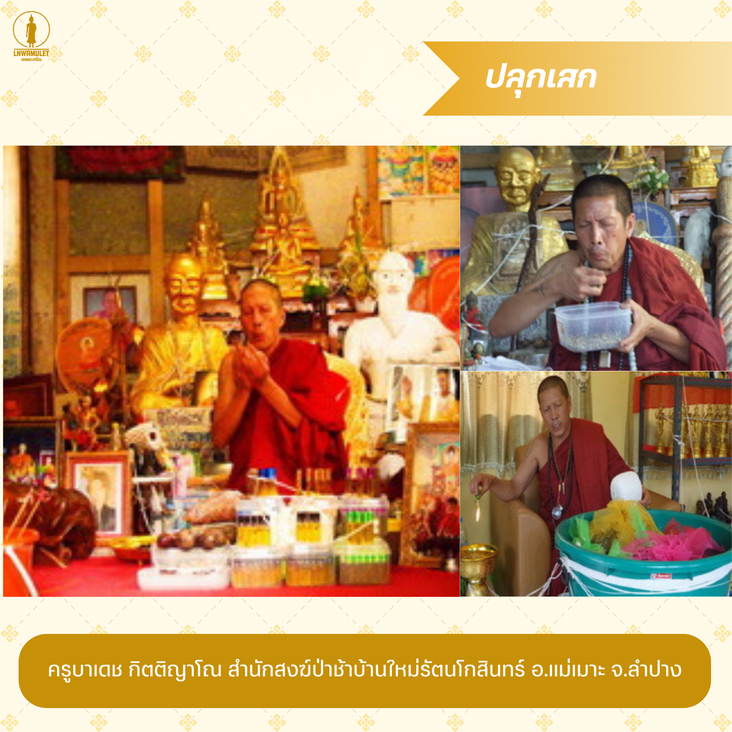 สาริกาลิ้นทองคู่ (รุ่นวาจาศักดิ์สิทธิ์) อุดผงมวลสาร ครูบาเดชปลุกเสก