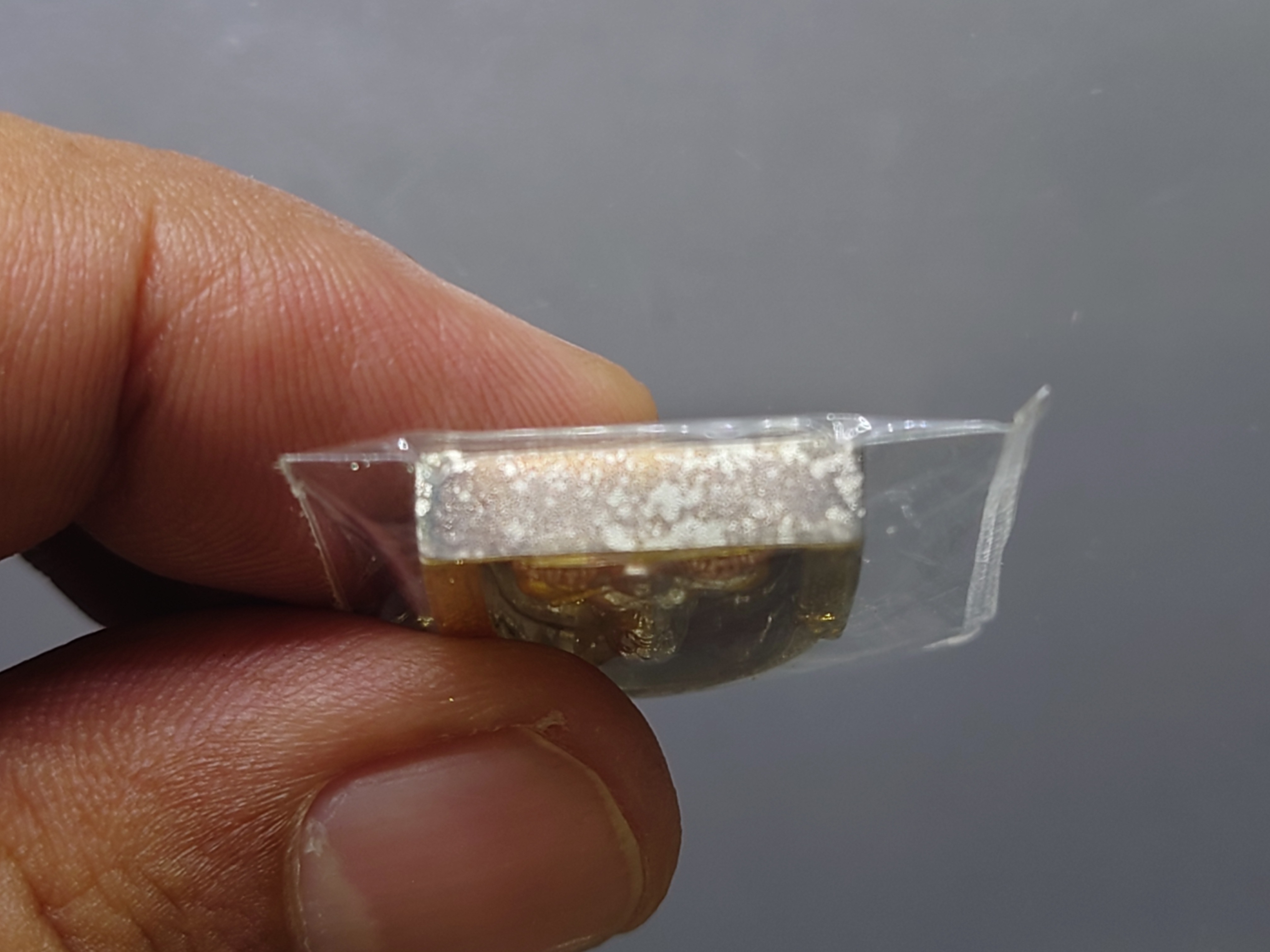 หลวงปู่ทวด เนื้อเงิน สามกษัตริย์ หลัง ม.ว.ก. ที่ระลึกเฉลิมพระเกียรติ 50 พรรษา พระบรมโอรสาธิราชฯ พุทธาภิเษก ณ วัดพระศรีฯ 2544 พร้อมกล่องเดิม