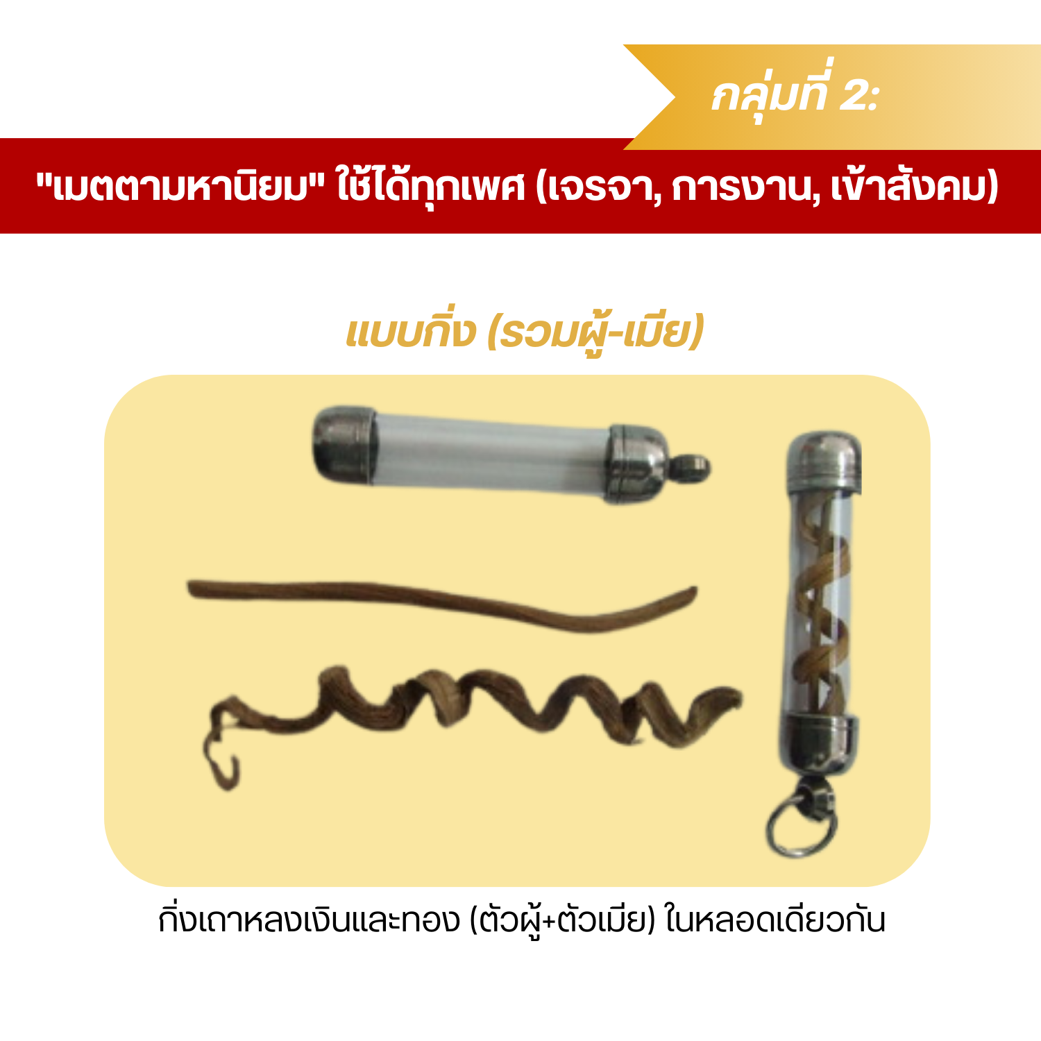 ตะกรุดเถาวัลย์หลง ของแท้จากป่า (ของขลังธรรมชาติ) เลือกได้หลายแบบทั้งด้านเสน่ห์และค้าขาย