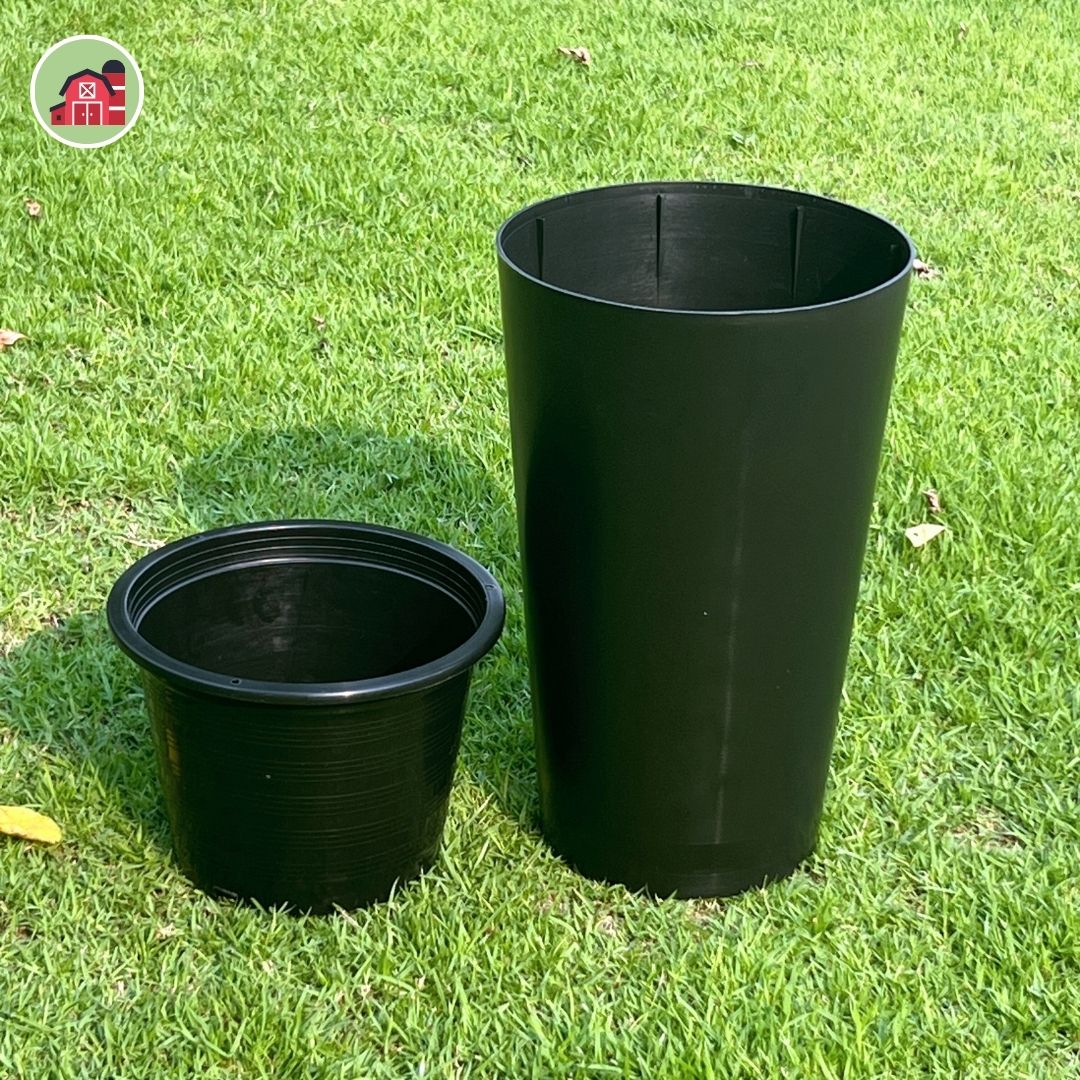 กระถางทรงสูง ขนาด 9 นิ้ว รุ่นรานี