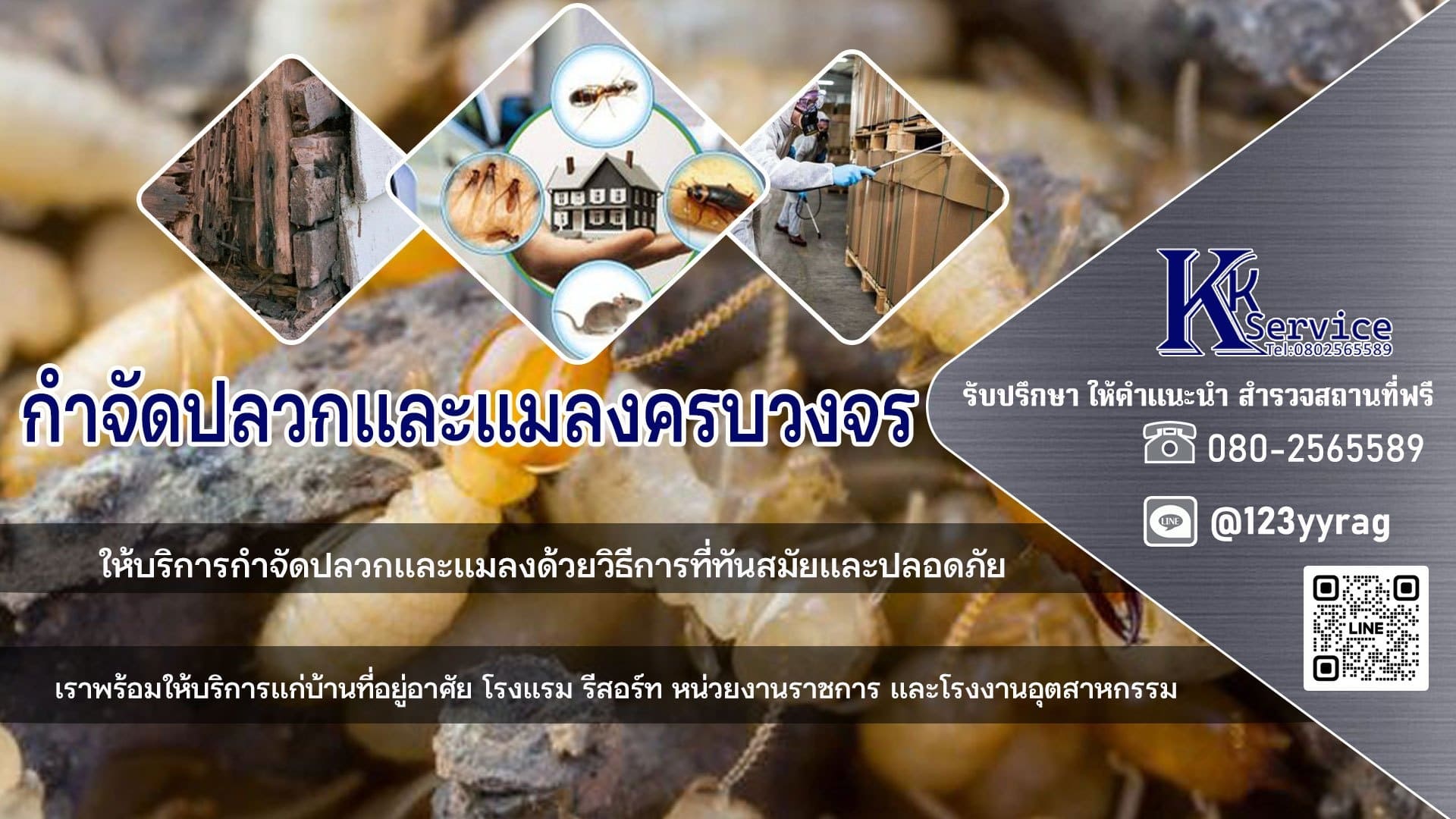 กำจัดปลวก