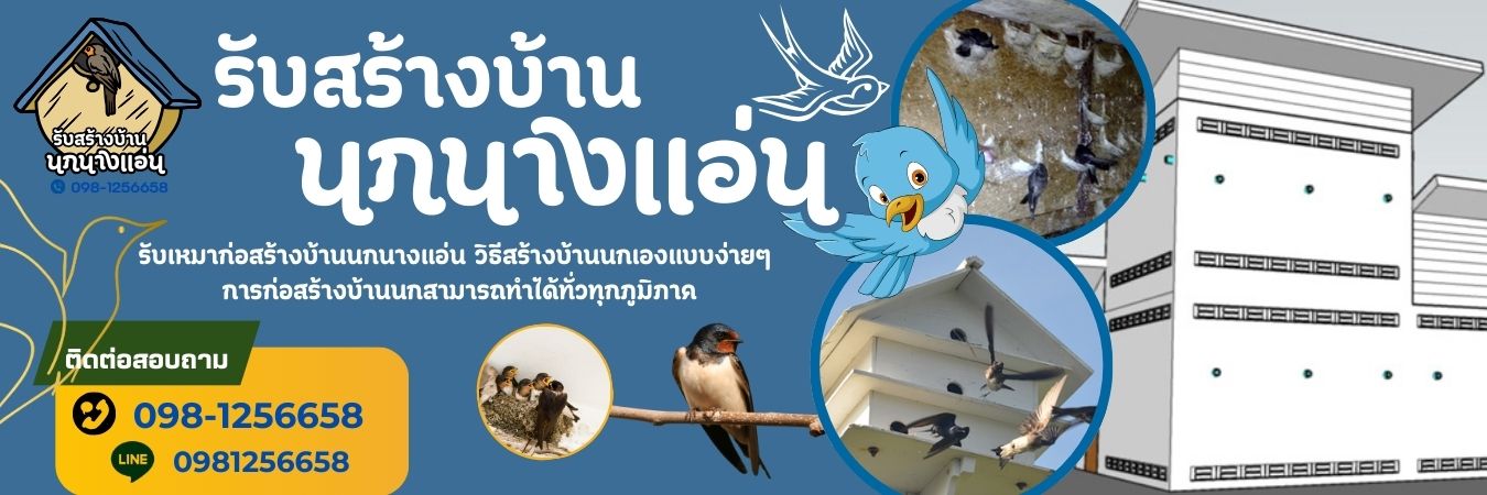 รับสร้างบ้านนกเเอ่น