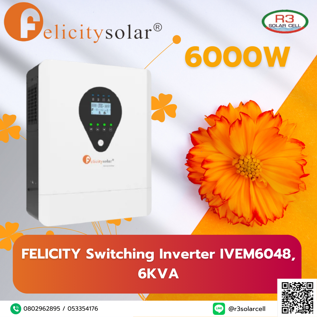 FELICITY Switching Inverter IVEM6048, 6KVA