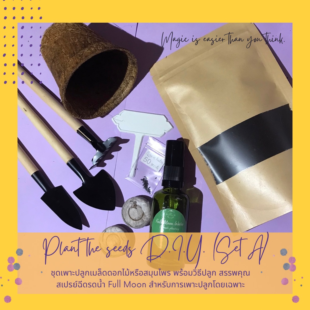 🪴Plant the seeds 🌱D.I.Y. Set A🌳 ชุดเพาะปลูกเมล็ดพืชสมุนไพร ดอกไม้ พร้อมสเปรย์แก้วน้ำฝนอาบแสงจันทร์🌕🌧