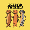 Bobby and Friends