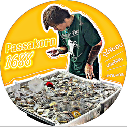Passakorn1688