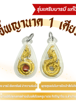 จี้พญานาค 1 เศียร (ครูบาเดช) รุ่นเสริมบารมี แก้ปีชง (แบบฝังพลอย/ไม่ฝังพลอย)