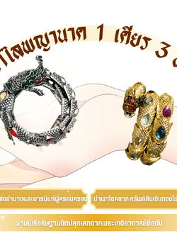 กำไลพญานาค 1 เศียร แก้ปีชง เสริมบารมี เรียกทรัพย์