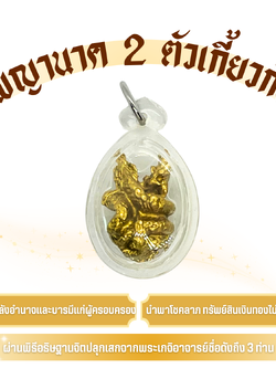 จี้พญานาค 2 ตัวเกี้ยวกัน (ปลุกเสก 3 คณาจารย์) แก้ปีชง เสริมบารมี เรียกทรัพย์