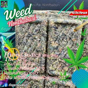 🍬💜 Glicious (สารานุกรมกัญชาเพื่อการเรียนรู้เท่านั้นไม่มีขาย)