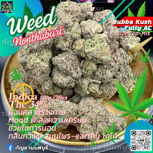 🌙 Bubba Kush (สารานุกรมกัญชาเพื่อการเรียนรู้เท่านั้นไม่มีขาย)