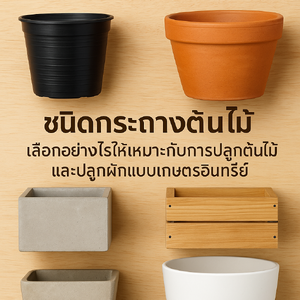 ชนิดการเลือกกระถางต้นไม้