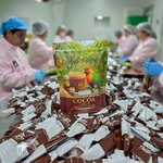 Sarika Cocoa S Plus โกโก้ ตราสาริกา 1ห่อ บรรจุ 10ซอง รสชาติอร่อย Sarika Cocoa S Plus โกโก้ ตราสาริกา 1ห่อ บรรจุ 10ซอง รสชาติอร่อย