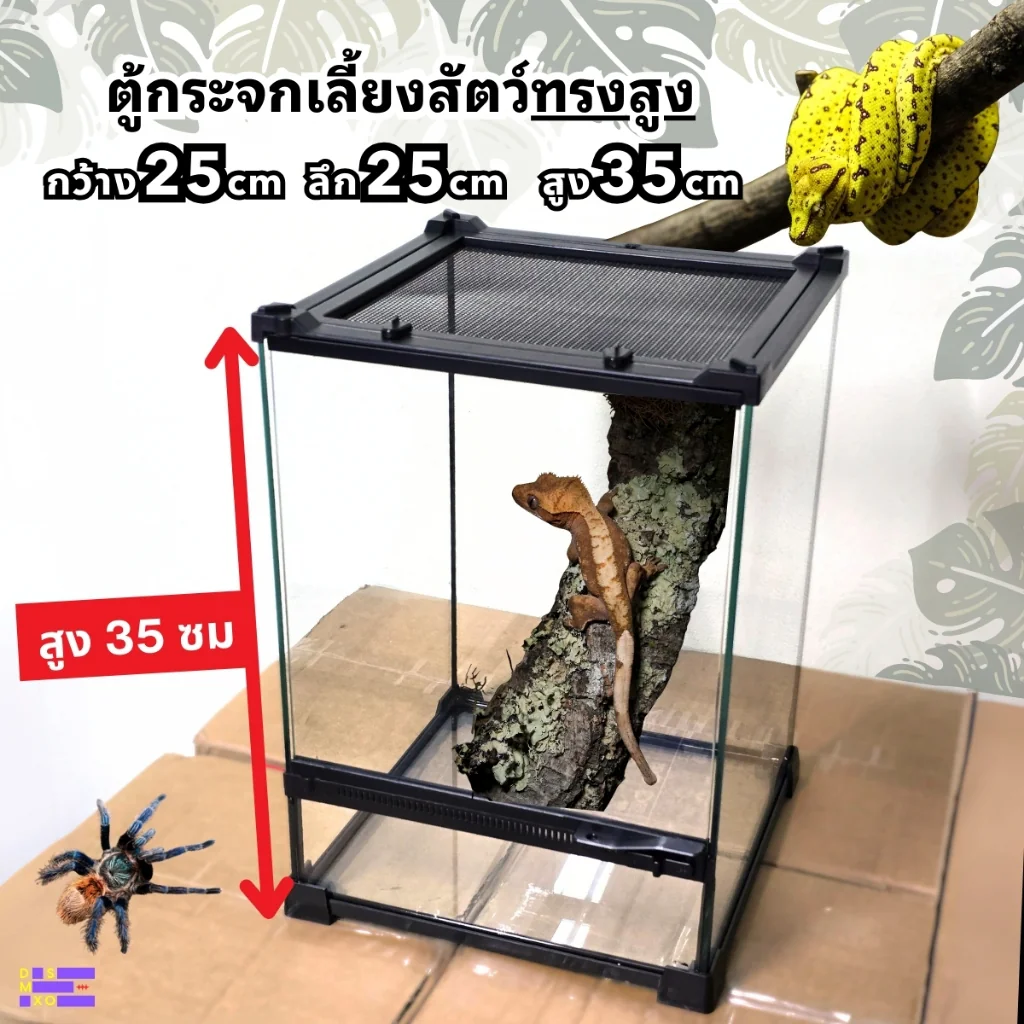 NOMOY PET Terrarium 25×25×35cm ตู้กระจกเลี้ยงสัตว์ มีที่ล๊อก วางโคมไฟได้ NOMOY PET Terrarium 25×25×35cm ตู้กระจกเลี้ยงสัตว์ มีที่ล๊อก วางโคมไฟได้
