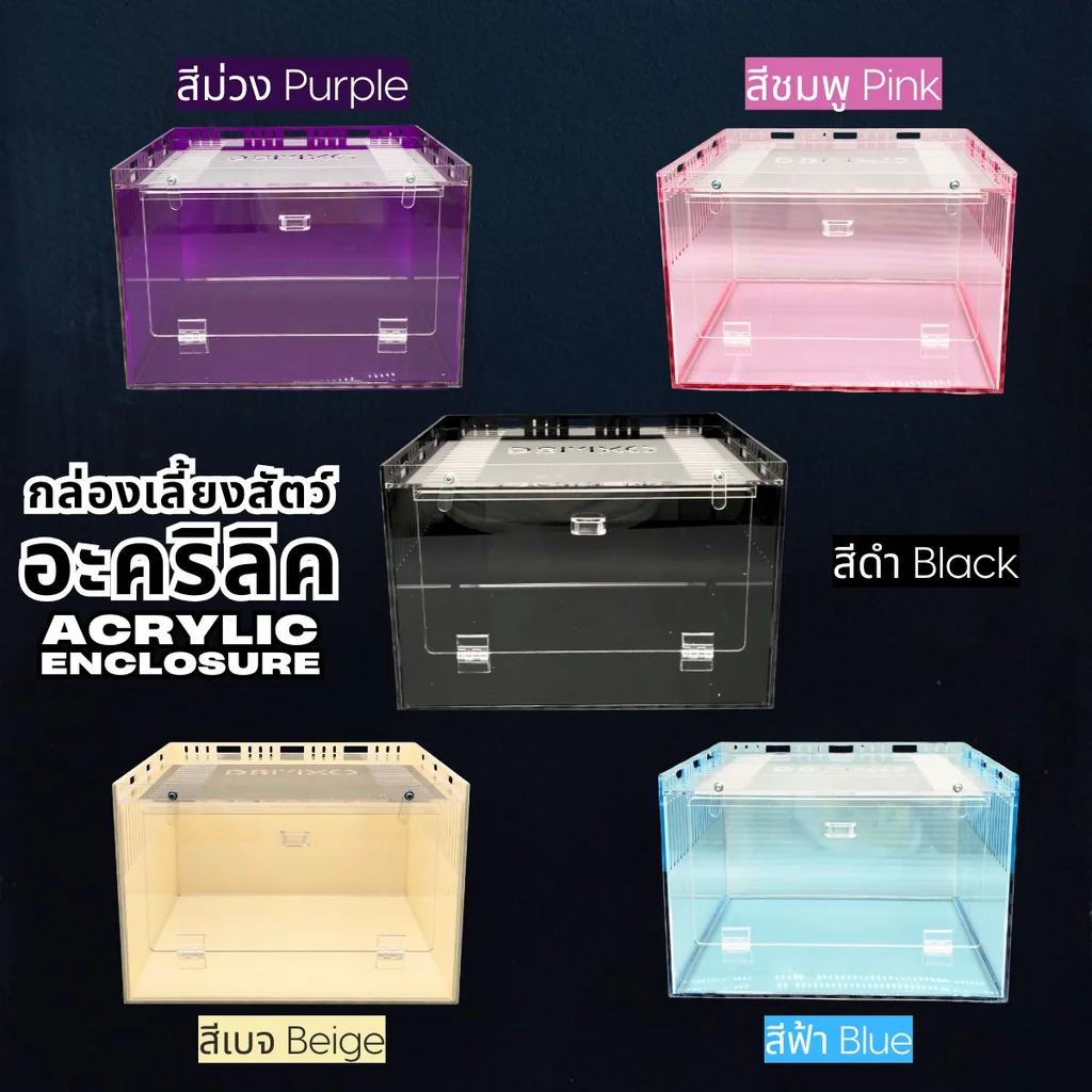 Acrylic Box กล่องอะคริลิค5สี *เปิดหน้า*ขนาด 30x30x20cm ใส่งู ตุ๊กแก รูระบาย3mm มีขาวางซ้อน Acrylic Box กล่องอะคริลิค5สี *เปิดหน้า*ขนาด 30x30x20cm ใส่งู ตุ๊กแก รูระบาย3mm มีขาวางซ้อน