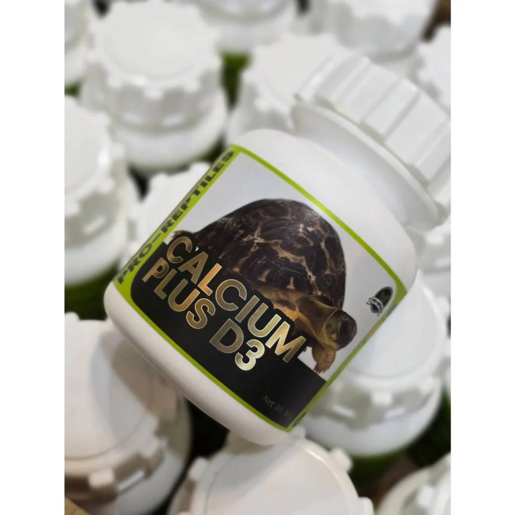 PRO-REPTILES Calcium+D3 90g แคลเซียมผงผสมวิตามิน D3 สำหรับสัตว์เลื้อยคลาน และสัตว์ครึ่งบกครึ่งน้ำโดยเฉพาะ เต่า กิ้งก่า งู Exotic Pet ทุกชนิด พร้อมส่ง PRO-REPTILES Calcium+D3 90g แคลเซียมผงผสมวิตามิน D3 สำหรับสัตว์เลื้อยคลาน และสัตว์ครึ่งบกครึ่งน้ำโดยเฉพาะ เต่า กิ้งก่า งู Exotic Pet ทุกชนิด พร้อมส่ง