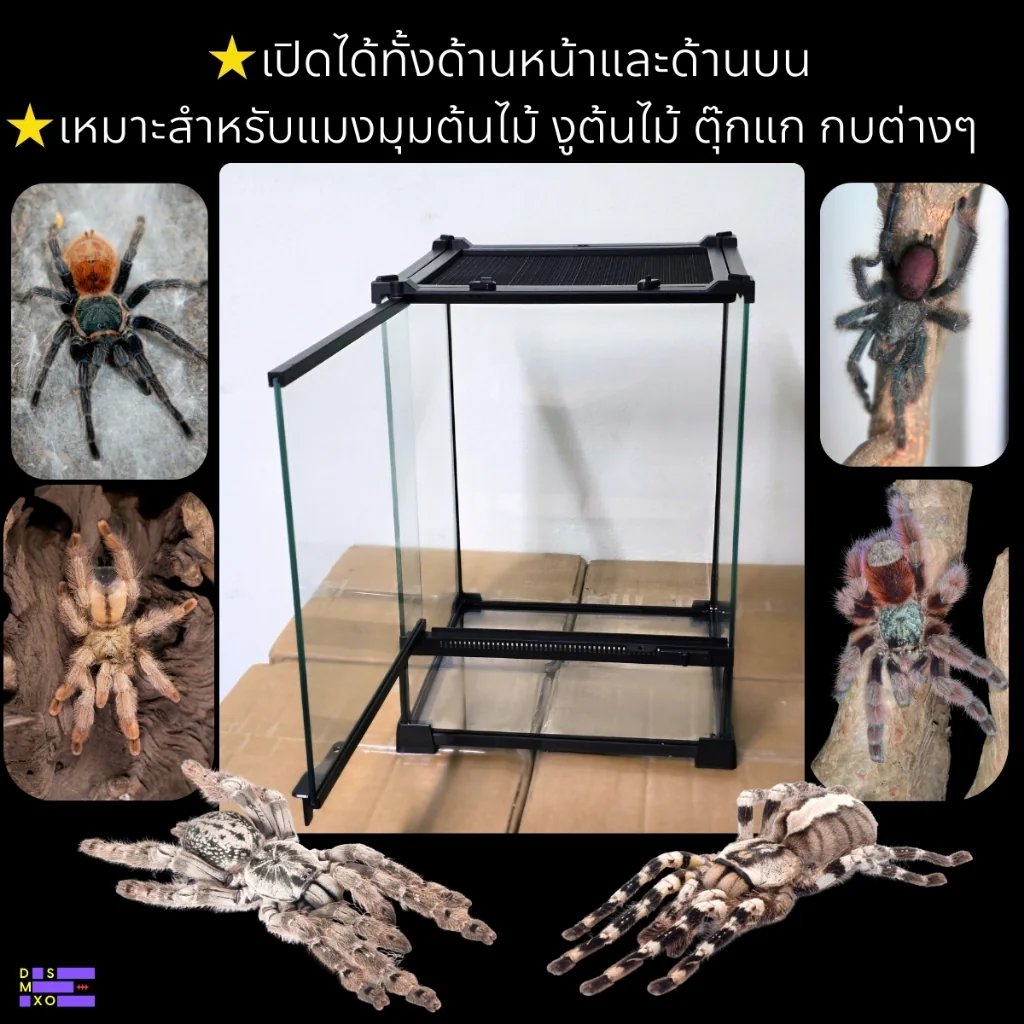 NOMOY PET Terrarium 25×25×35cm ตู้กระจกเลี้ยงสัตว์ มีที่ล๊อก วางโคมไฟได้ NOMOY PET Terrarium 25×25×35cm ตู้กระจกเลี้ยงสัตว์ มีที่ล๊อก วางโคมไฟได้