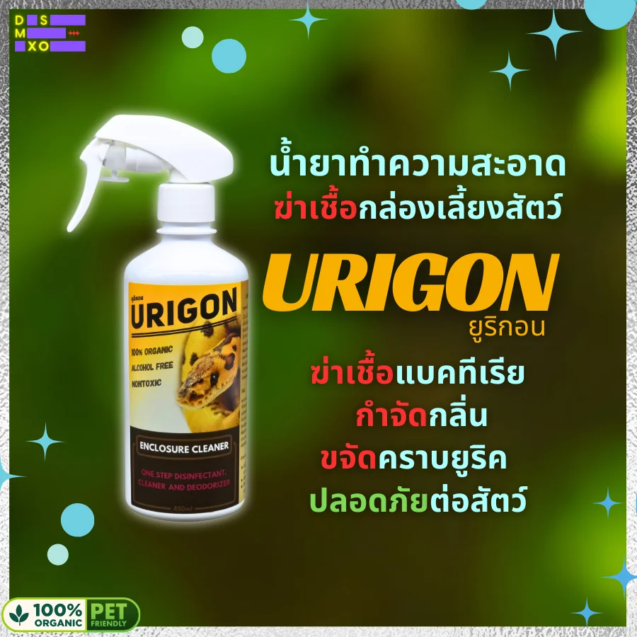 Urigon ยูริกอน สเปรย์ฆ่าเชื้อ น้ำยาทำความสะอาดกล่องเลื้ยง อุปกรณ์ ไม่เป็นอันตรายต่อสัตว์ Urigon ยูริกอน สเปรย์ฆ่าเชื้อ น้ำยาทำความสะอาดกล่องเลื้ยง อุปกรณ์ ไม่เป็นอันตรายต่อสัตว์