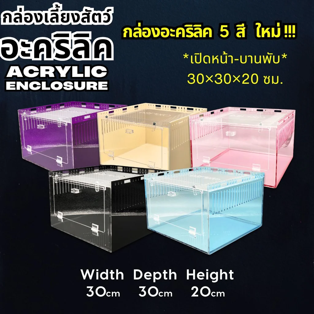 Acrylic Box กล่องอะคริลิค5สี *เปิดหน้า*ขนาด 30x30x20cm ใส่งู ตุ๊กแก รูระบาย3mm มีขาวางซ้อน Acrylic Box กล่องอะคริลิค5สี *เปิดหน้า*ขนาด 30x30x20cm ใส่งู ตุ๊กแก รูระบาย3mm มีขาวางซ้อน