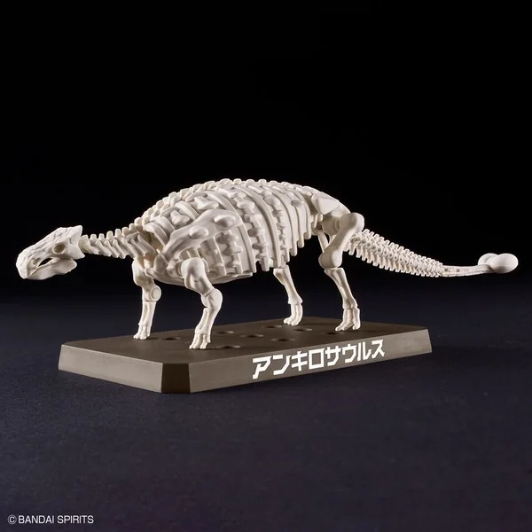 Bandai PLANNOSAURUS Ankylosaurus 4573102657022 (Plastic Model) Bandai PLANNOSAURUS Ankylosaurus 4573102657022 (Plastic Model)