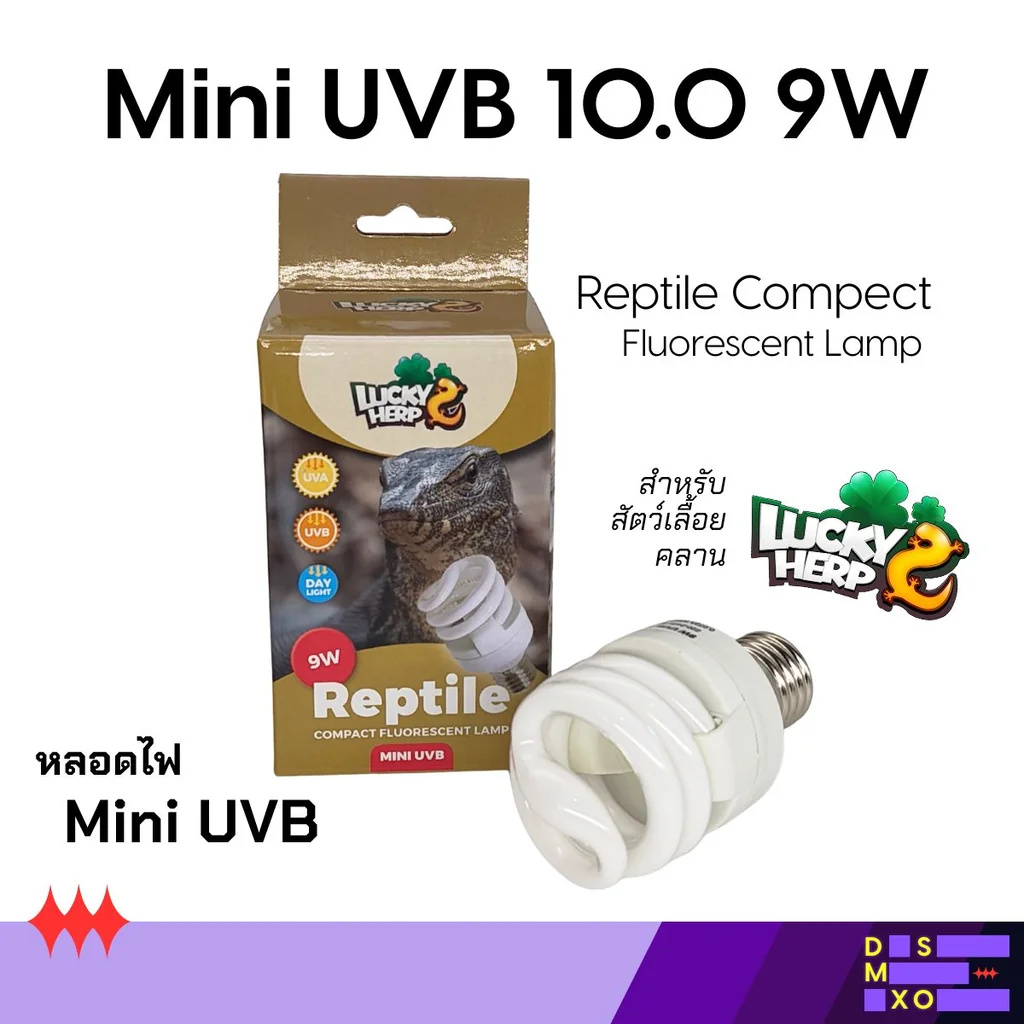 LUCKY HERP Mini UVB 10.0 (9W) หลอดไฟสัตว์เลื้อยคลานทะเลทราย ขั้วเกลียว E27 ประหยัดพลังงาน (สำหรับเต่าบก ซูลคาต้า เบี๊ยดดราก้อน กิ้งก่าทะเลทราย) LUCKY HERP Mini UVB 10.0 (9W) หลอดไฟสัตว์เลื้อยคลานทะเลทราย ขั้วเกลียว E27 ประหยัดพลังงาน (สำหรับเต่าบก ซูลคาต้า เบี๊ยดดราก้อน กิ้งก่าทะเลทราย)
