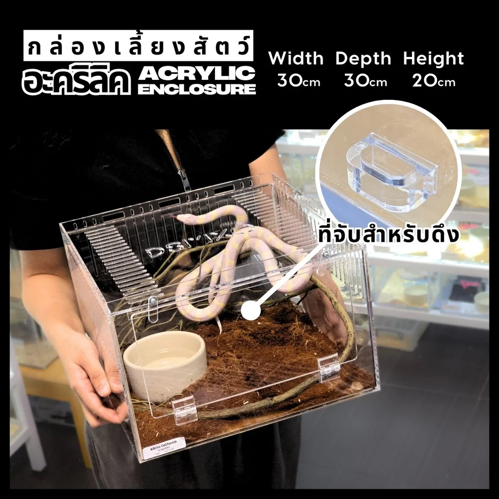 DSMXO Acrylic Box 30×30×20cm (Front) กล่องอะคริลิคใส *เปิดหน้า* ใส่งู ตุ๊กแก รูระบายเล็ก 3mm มีขาวางซ้อน DSMXO Acrylic Box 30×30×20cm (Front) กล่องอะคริลิคใส *เปิดหน้า* ใส่งู ตุ๊กแก รูระบายเล็ก 3mm มีขาวางซ้อน