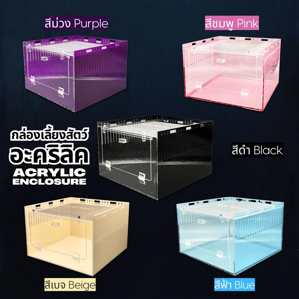 Acrylic Box กล่องอะคริลิค5สี *เปิดหน้า*ขนาด 30x30x20cm ใส่งู ตุ๊กแก รูระบาย3mm มีขาวางซ้อน Acrylic Box กล่องอะคริลิค5สี *เปิดหน้า*ขนาด 30x30x20cm ใส่งู ตุ๊กแก รูระบาย3mm มีขาวางซ้อน
