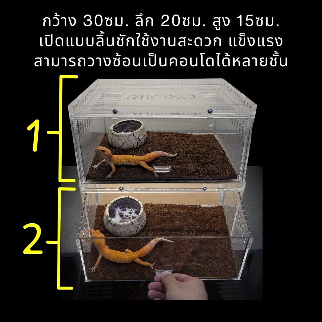 Acrylic Box กล่องอะคริลิคใส *ลิ้นชัก* 30×20×15cm ใส่งู ตุ๊กแก รูระบายเล็ก 3mm มีขาวางซ้อน Acrylic Box กล่องอะคริลิคใส *ลิ้นชัก* 30×20×15cm ใส่งู ตุ๊กแก รูระบายเล็ก 3mm มีขาวางซ้อน
