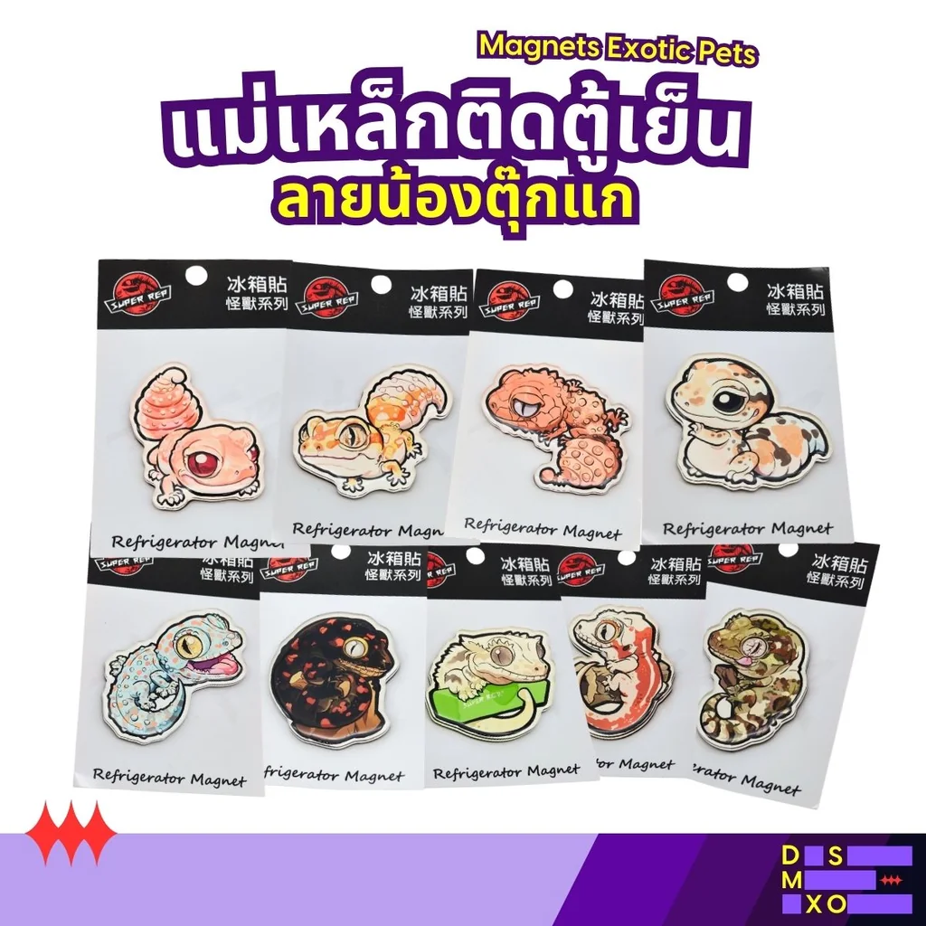 Magnets Exotic Pet แม่เหล็กติดตู้เย็น ลายน้องตุ๊กแก แม่เหล็กติดตู้เย็นอะคริลิก ของฝาก Magnets Exotic Pet แม่เหล็กติดตู้เย็น ลายน้องตุ๊กแก แม่เหล็กติดตู้เย็นอะคริลิก ของฝาก