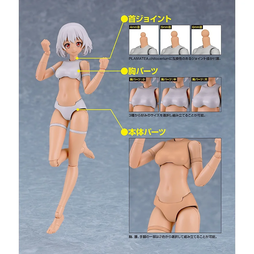 Good Smile Company PLAMATEA Muse Body Ichika C Type 4571697189218 (Plastic Model) Good Smile Company PLAMATEA Muse Body Ichika C Type 4571697189218 (Plastic Model)