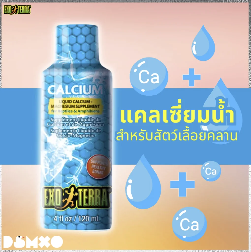 EXO TERRA Liquid Calcium 120ml อาหารเสริมแคลเซียมชนิดน้ำจากแบรนด์ชั้นนำระดับโลก สำหรับสัตว์เลื้อยคลาน เสริมกระดูก ป้องกันโรค MBD พร้อมส่ง EXO TERRA Liquid Calcium 120ml อาหารเสริมแคลเซียมชนิดน้ำจากแบรนด์ชั้นนำระดับโลก สำหรับสัตว์เลื้อยคลาน เสริมกระดูก ป้องกันโรค MBD พร้อมส่ง