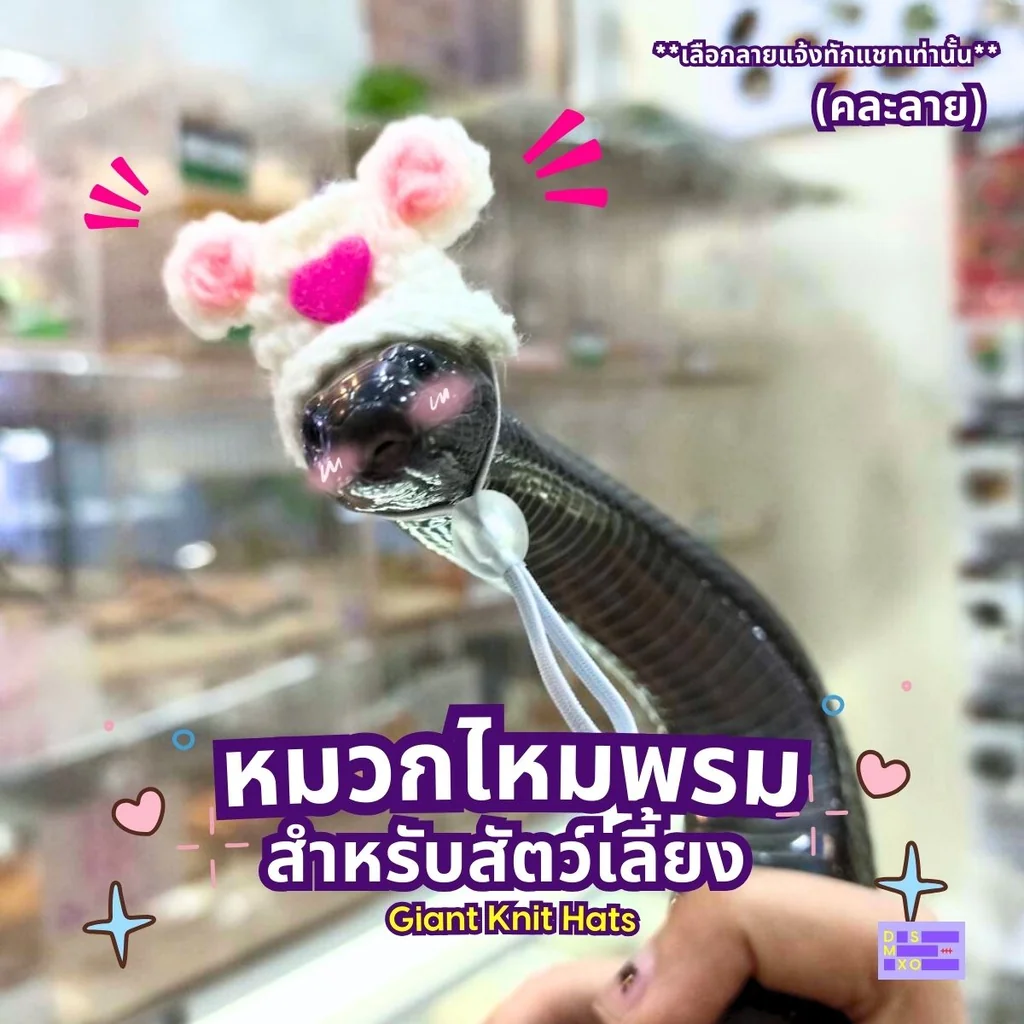 Giant Knit Hat หมวกไหมพรม สำหรับสัตว์เลี้ยง ขนาดใหญ่ คละลาย (เลือกลายแจ้งทักแชทเท่านั้น) Giant Knit Hat หมวกไหมพรม สำหรับสัตว์เลี้ยง ขนาดใหญ่ คละลาย (เลือกลายแจ้งทักแชทเท่านั้น)
