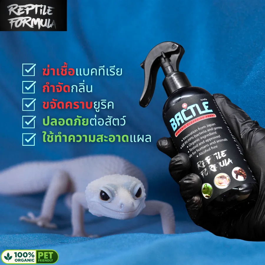 Bactle 250ml สูตร Reptile น้ำยาทำความสะอาดฆ่าเชื้อกล่อง สถานที่เลี้ยง อุปกรณ์ ขจัดคราบยูริค Bactle 250ml สูตร Reptile น้ำยาทำความสะอาดฆ่าเชื้อกล่อง สถานที่เลี้ยง อุปกรณ์ ขจัดคราบยูริค