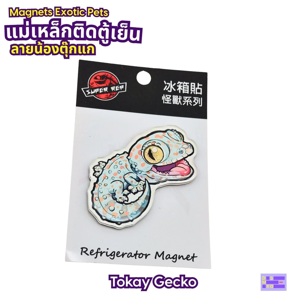 Magnets Exotic Pet แม่เหล็กติดตู้เย็น ลายน้องตุ๊กแก แม่เหล็กติดตู้เย็นอะคริลิก ของฝาก Magnets Exotic Pet แม่เหล็กติดตู้เย็น ลายน้องตุ๊กแก แม่เหล็กติดตู้เย็นอะคริลิก ของฝาก