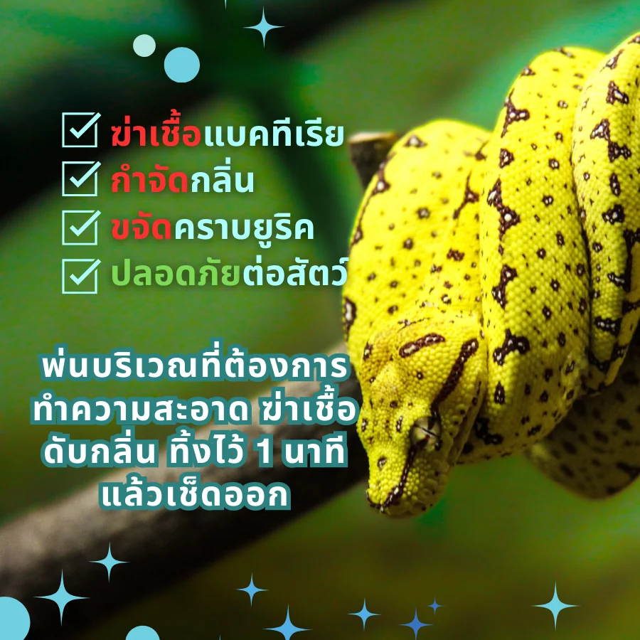 Urigon ยูริกอน สเปรย์ฆ่าเชื้อ น้ำยาทำความสะอาดกล่องเลื้ยง อุปกรณ์ ไม่เป็นอันตรายต่อสัตว์ Urigon ยูริกอน สเปรย์ฆ่าเชื้อ น้ำยาทำความสะอาดกล่องเลื้ยง อุปกรณ์ ไม่เป็นอันตรายต่อสัตว์
