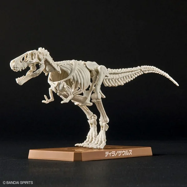 Bandai Plannosaurus Tyrannosaurus 4573102642622 (Plastic Model) Bandai Plannosaurus Tyrannosaurus 4573102642622 (Plastic Model)