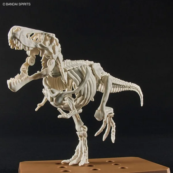 Bandai Plannosaurus Tyrannosaurus 4573102642622 (Plastic Model) Bandai Plannosaurus Tyrannosaurus 4573102642622 (Plastic Model)