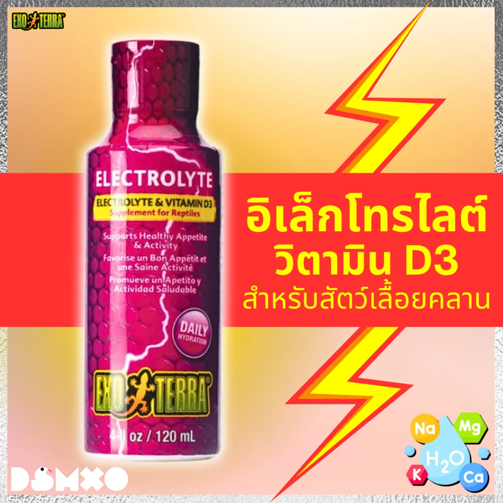 EXO TERRA Electrolyte & Vitamin D3 120ml บำรุงสุขภาพสัตว์เลื้อยคลาน ป้องกันการขาดน้ำ ความเครียด