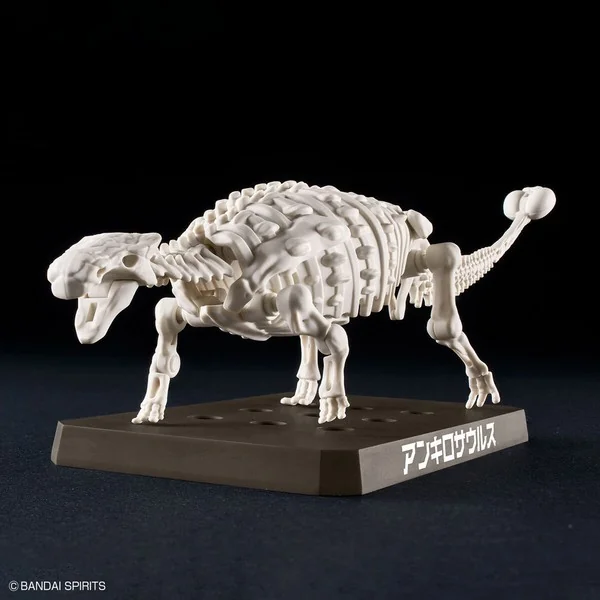 Bandai PLANNOSAURUS Ankylosaurus 4573102657022 (Plastic Model) Bandai PLANNOSAURUS Ankylosaurus 4573102657022 (Plastic Model)